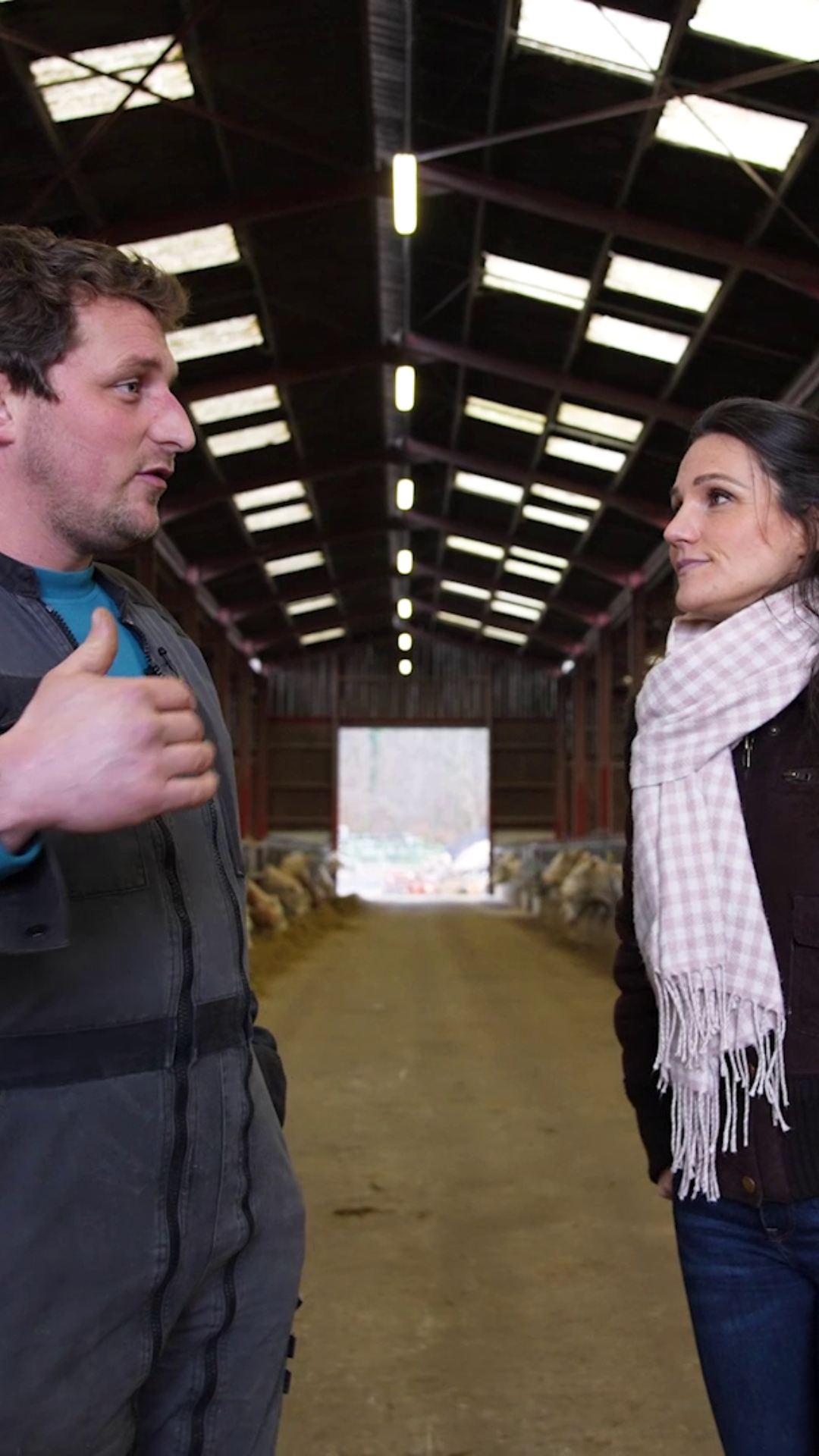 Ration vaches allaitantes : objectif qualité des fourrages